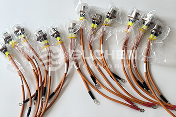 PRC082-60-10 wiring harness